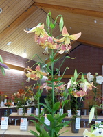 Foto: Dr. Peter Müller